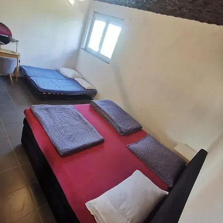 Mit Garten Und Terasse Apartamento